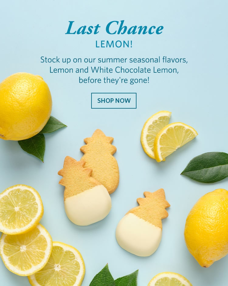 Last Chance Lemon! Stock up on our summer seasonal flavors, Lemon and White Chocolate Lemon, before they're gone! shop now.