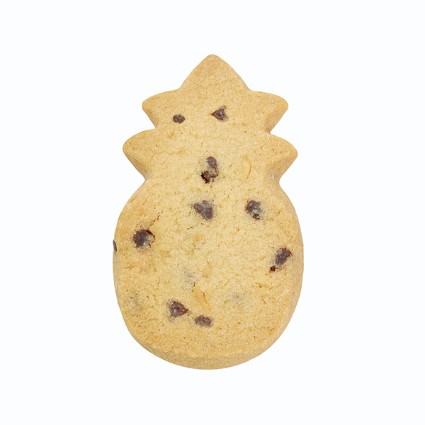 Honolulu Cookie Co. Mini Bites Chocolate Chip Macadamia