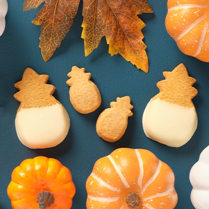 Our Fall favorite, Pumpkin!