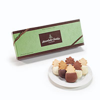 Medium Signature Gift Box Chocolate Collection with cookies