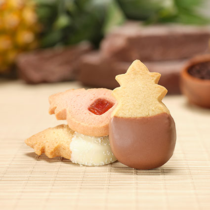 https://www.honolulucookie.com/images/View-All-Products-2020V2-425x425.jpg